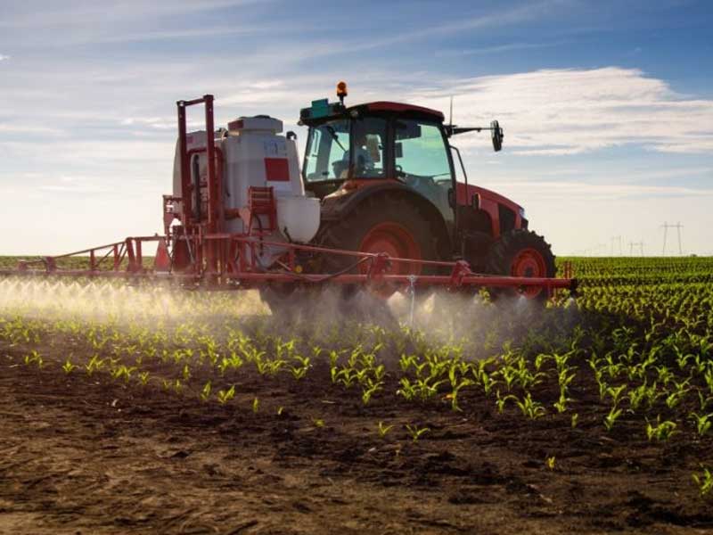 Canadá se suma a EU en panel del T-MEC contra México por prohibición del maíz transgénico para consumo humano