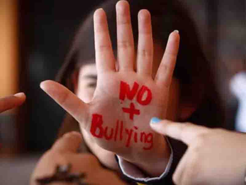 Bullying en México: organizaciones pide a la SEP crear protocolos contra el acoso escolar.